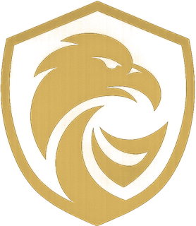 HM Security Solutions eagle emblem
